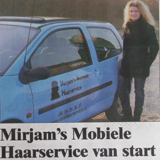 De blauwe Twingo in 2012